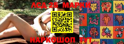 прущие грибы Нальчик