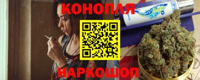 прущие грибы Нальчик