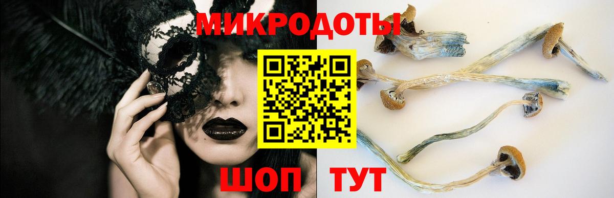 Псилоцибиновые грибы MAGIC MUSHROOMS  Вход с VPN  продажа наркотиков  Галлюциногенные грибы GOLDEN TEACHER  Сочи 
